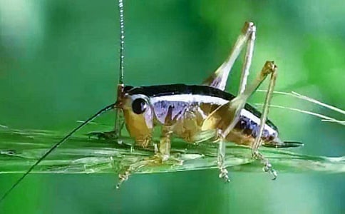 ��߀�l(xi��ng)����[���x]