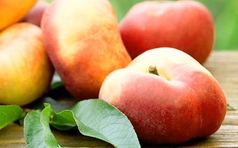 �P(gu��n)����ҕ����S�P