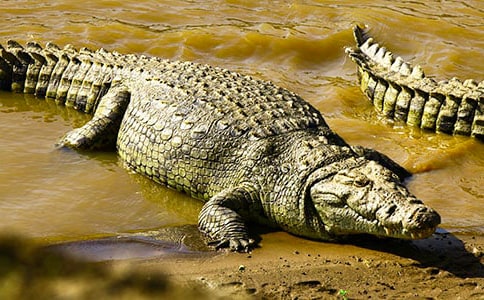 �ŗ��Լ���(y��u)��(sh��)���{�~Ԣ�Թ���