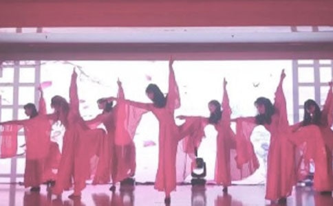 雜技表演作文【精選15篇】