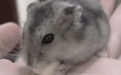 С�}�������