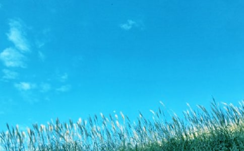 ��һ�|���L���ġ���Ʒ69ƪ��