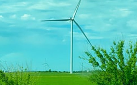 ���Ǵ��L����[��(y��u)��20ƪ]