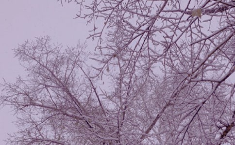 �����x�����յĜ�ů����600��38ƪ