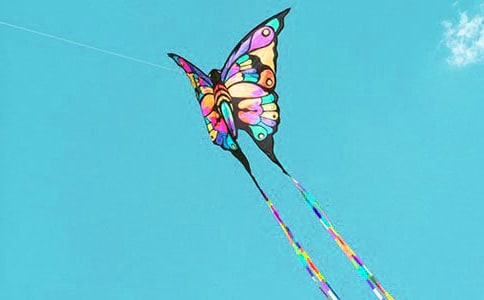 ���L(f��ng)�~���D��Ԓ15ƪ[�]]