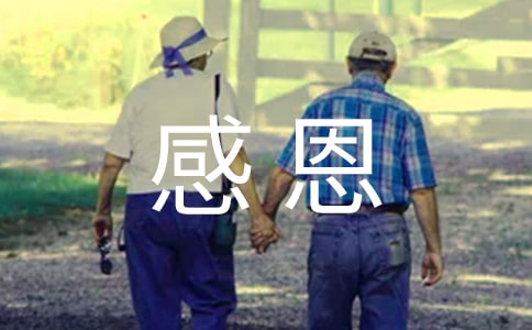 �ж�������