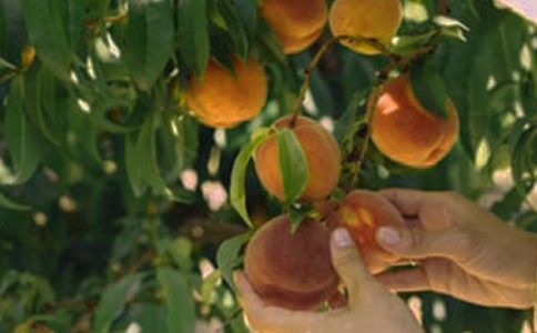 �����T���S�յĹ��@����15ƪ