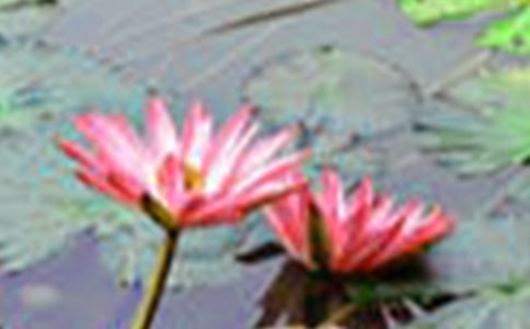 ���x���꼉(j��)�ĺɻ�������ƪ