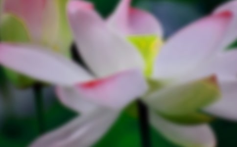 �茑�ɻ��Č�������