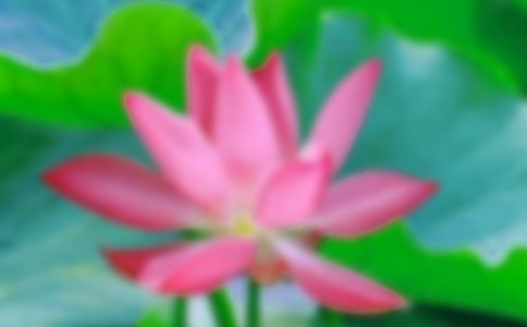 �����ĺɻ����꼉(j��)������ƪ