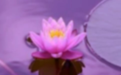 ���C���(hu��)����r(sh��)������