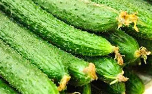 ժ�S������