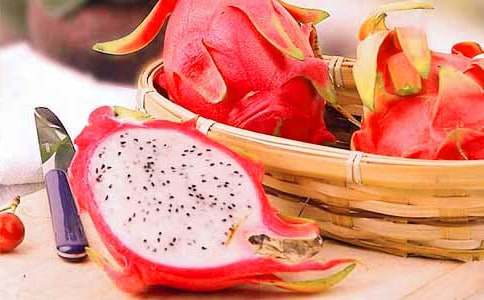 火龍果作文15篇【經(jīng)典】