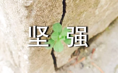 精選選擇堅(jiān)強(qiáng)作文合集8篇
