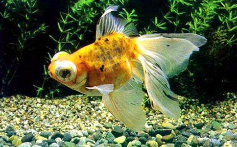 ���~�^������(ͨ��15ƪ)