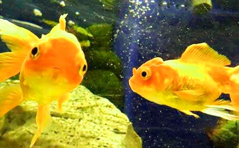 С���~�����\��15ƪ