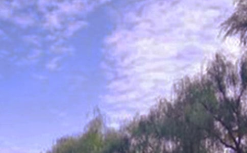 【精選】田野的景色作文3篇