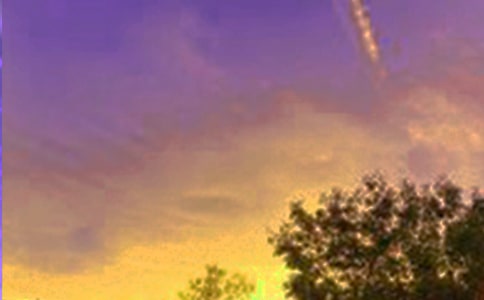 �����x����Ұ�ľ�ɫ������ƪ