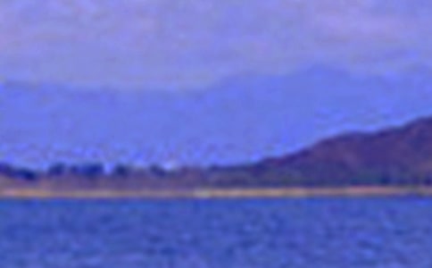 ��ɫ������