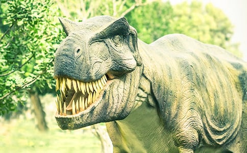 ���������ąR��(15ƪ)