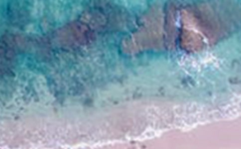 黃山美景作文300字五篇