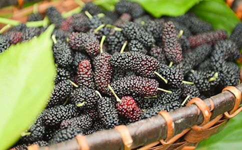 ժɣ�����ġ��᡿