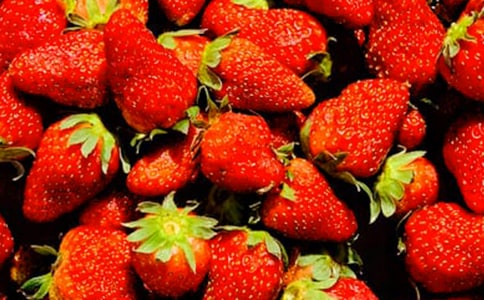 精選水果沙拉作文600字3篇