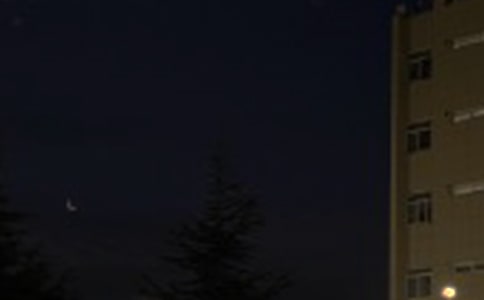 ���T��������ף���Z55��