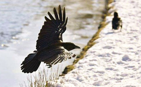 ���ƌW(xu��)���f��ˮ��˼(��(y��u)�x)