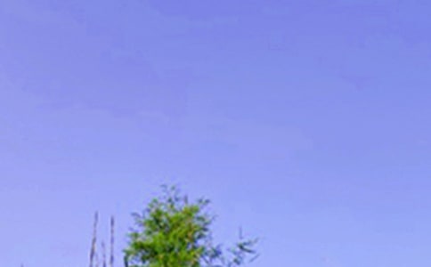 ��(j��ng)������Ȧ�簲ף���Z(y��)�R����ͨ��100�䣩