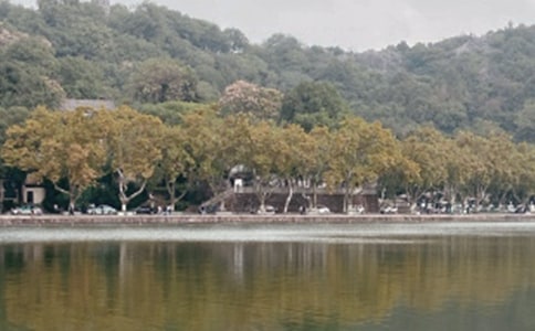 ����������20ƪ