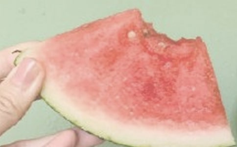 [��(y��u)]����ԭ�ķ��g���p��15ƪ