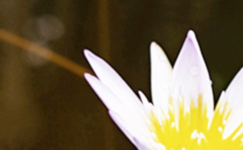 ������Ψ���İ��̾�