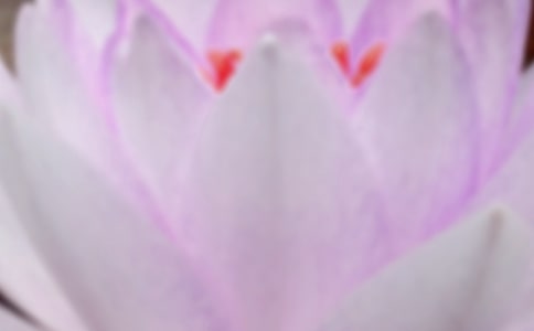 ������(ji��)��̾�[��(sh��)��8ƪ]