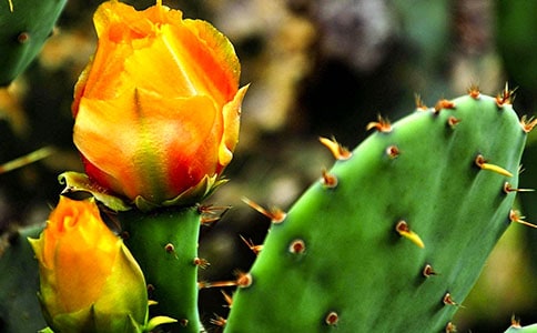 ���������ġ����]��