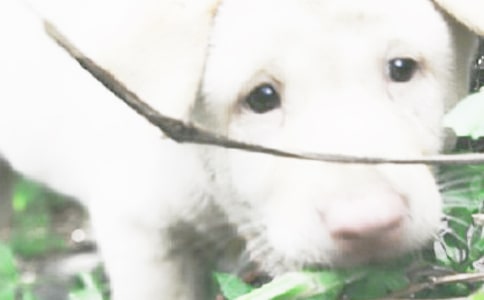 �ҵĄ����������꼉С��