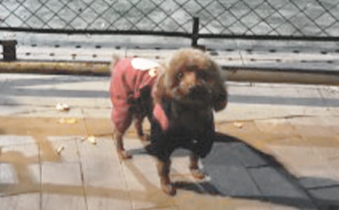 �ҵĄ�(d��ng)���������꼉(j��)С������(y��u)��