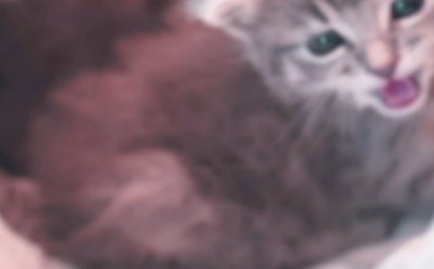 С؈׽�~���D��Ԓ