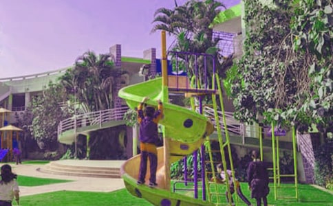 小學(xué)生寫樹的作文