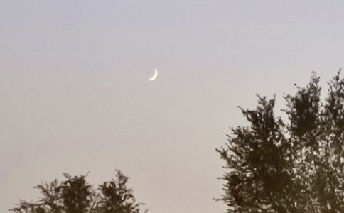 ���؂䡿����������300��4ƪ