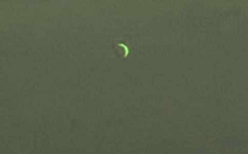 ����(sh��)�á�������������ąR��5ƪ