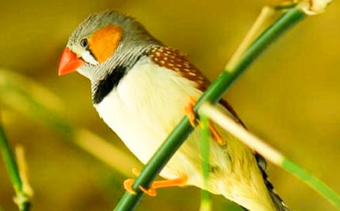 [�؂�]�������B���̌W(xu��)���