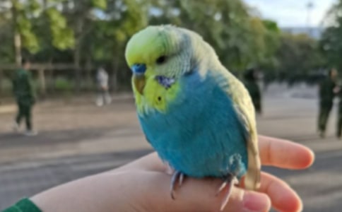 �W�^����