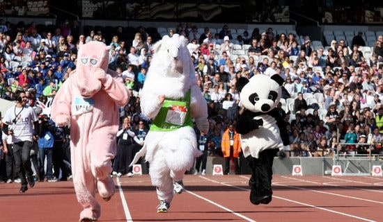 [��(y��u)�x]�\�ӕ�����~