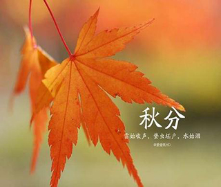 ���ף���Z(y��)