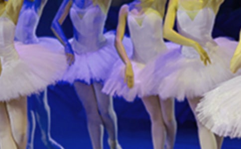 讀《小英雄和芭蕾公主》心得體會(huì)550字