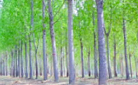 ���ח�n���_��̰��O(sh��)Ӌ����