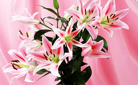 �����ϵİٺϻ��_�x���350��_С�W������