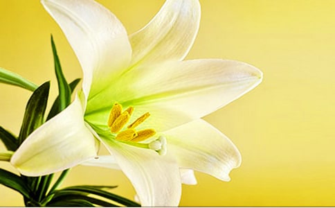 �n�ġ������ϵİٺϻ����x���600��