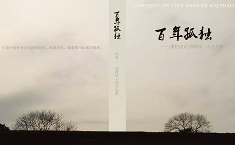 百年孤獨(dú)個人讀書心得6篇